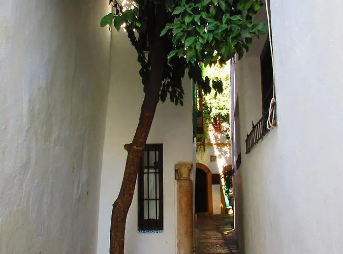 Con Encanto Lubi I Cordoba