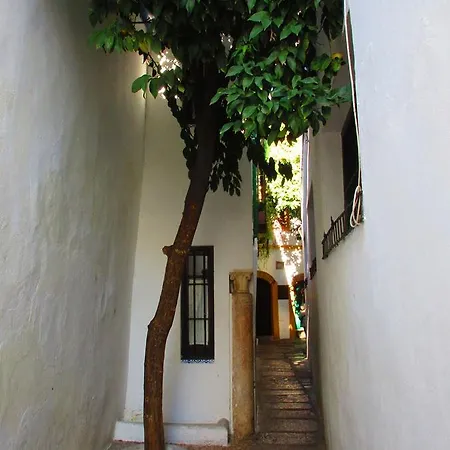 Con Encanto Lubi I קורדובה